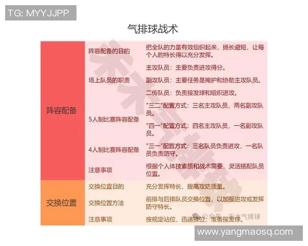 上海排球队节奏对比分析揭示战术优势与不足之处