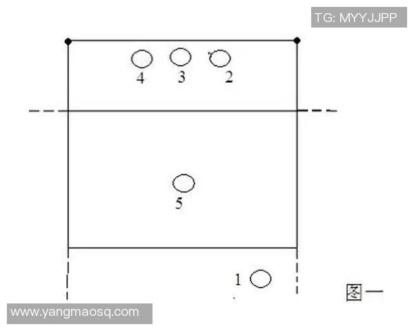 上海排球队挑战赛战术分析与表现评估探讨