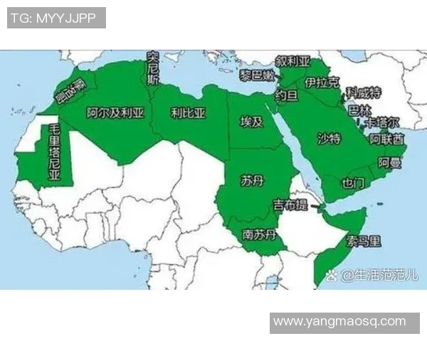 叙利亚与卡塔尔足球的崛起与发展对比分析及未来展望