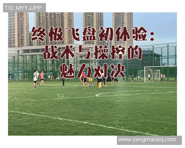 南京飞盘队比赛经验分享与战术分析的深入探讨与反思